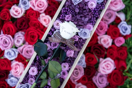 Message in the heart of the general